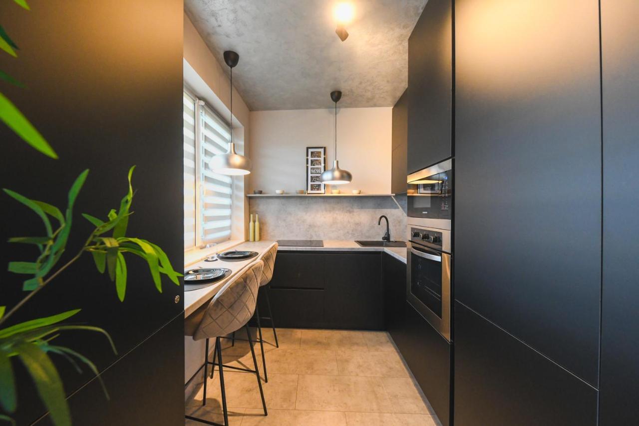 Panoramic Apartment With Terrace クルージュ＝ナポカ エクステリア 写真
